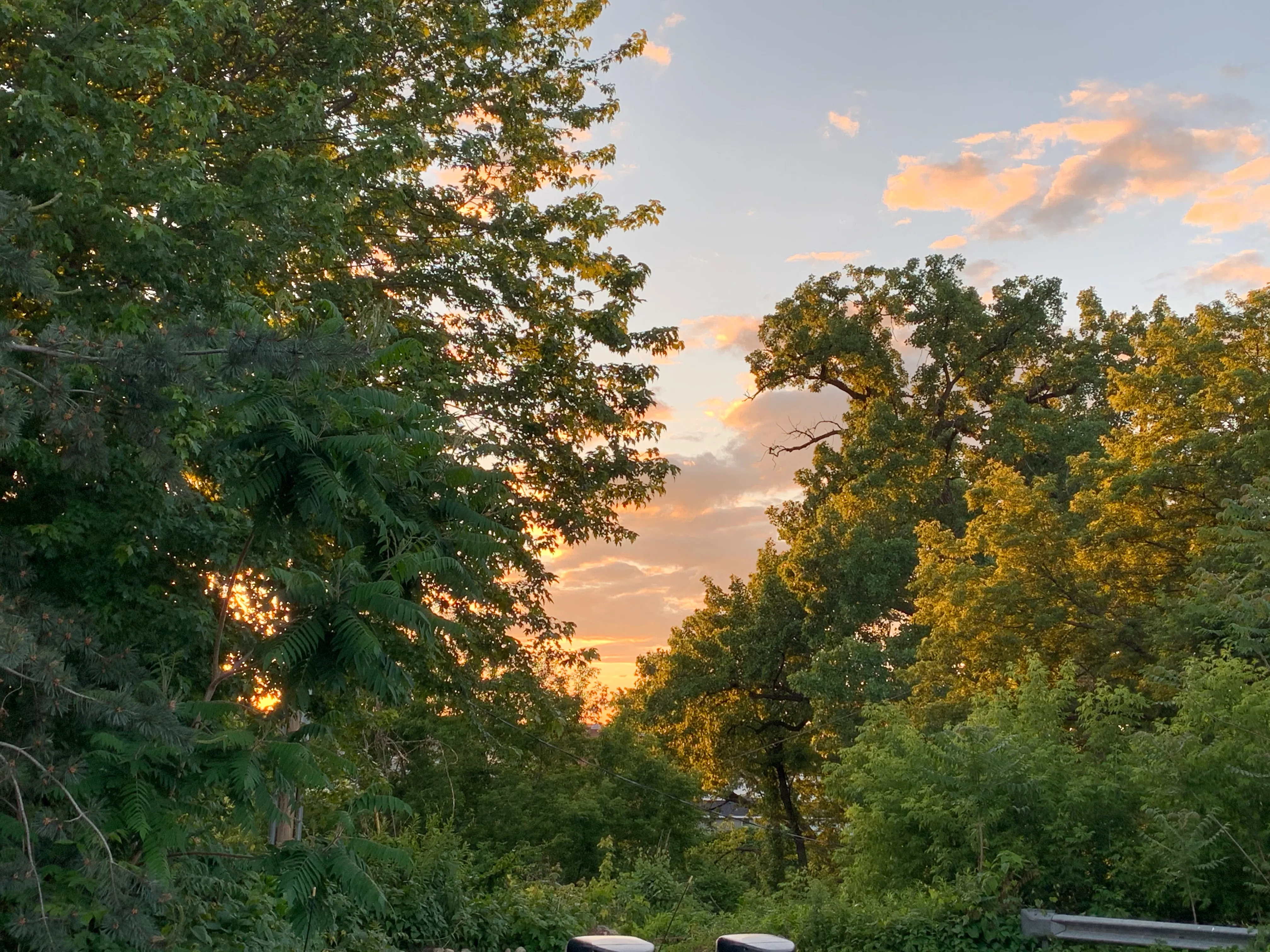 爵士时代 | 2019年九月合集(下)